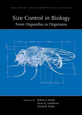 Controlul mărimii în biologie: De la organite la organisme - Size Control in Biology: From Organelles to Organisms