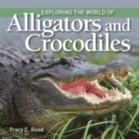 Explorarea lumii aligatorilor și a crocodililor - Exploring the World of Alligators and Crocodiles