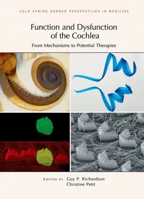 Funcția și Disfuncția Cochleei: De la mecanisme la terapii potențiale - Function and Dysfunction of the Cochlea: From Mechanisms to Potential Therapies