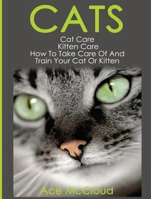 Pisici: Îngrijirea pisicii: Îngrijirea pisicuței: Cum să vă îngrijiți și să vă dresați pisica sau pisoiul - Cats: Cat Care: Kitten Care: How To Take Care Of And Train Your Cat Or Kitten