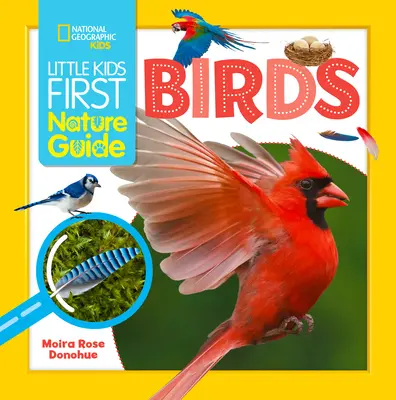 Primul ghid al naturii pentru copii mici Păsări - Little Kids First Nature Guide Birds