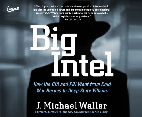 Big Intel: Cum a ajuns CIA de la eroii Războiului Rece la răufăcătorii Deep State - Big Intel: How the CIA Went from Cold War Heroes to Deep State Villains