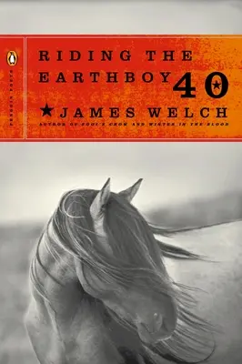 Călătorind pe Earthboy 40 - Riding the Earthboy 40