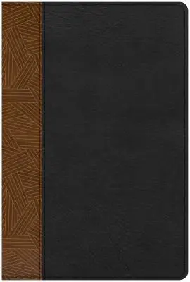 Biblia de studiu CSB Rainbow, negru/tan pieletouch - CSB Rainbow Study Bible, Black/Tan Leathertouch
