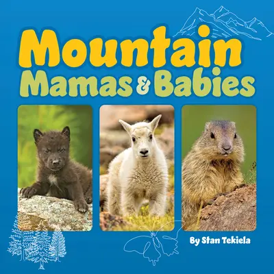Mame și bebeluși de munte - Mountain Mamas & Babies