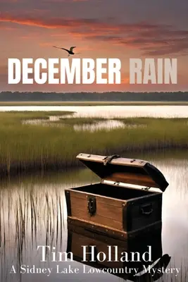 Ploaie de decembrie - December Rain