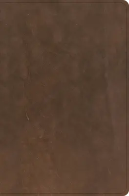 Biblia zilnică pentru bărbați CSB, piele naturală maro - CSB Men's Daily Bible, Brown Genuine Leather