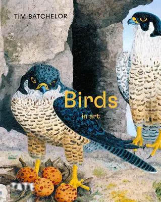 Păsări - Birds