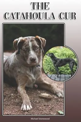 Curierul Catahoula: Un ghid complet și cuprinzător al proprietarilor pentru: Cumpărarea, Deținerea, Sănătatea, Îngrijirea, Dresajul, Obediența, Înțelegerea și - The Catahoula Cur: A Complete and Comprehensive Owners Guide To: Buying, Owning, Health, Grooming, Training, Obedience, Understanding and