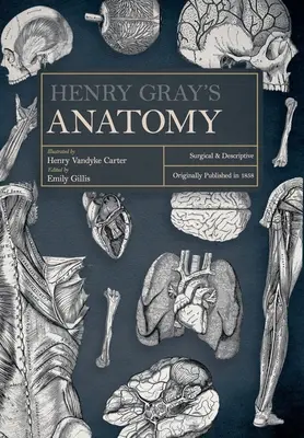 Anatomia lui Henry Gray: chirurgicală și descriptivă - Henry Gray's Anatomy: Surgical and Descriptive