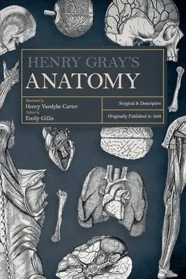 Anatomia lui Henry Gray: chirurgicală și descriptivă - Henry Gray's Anatomy: Surgical and Descriptive