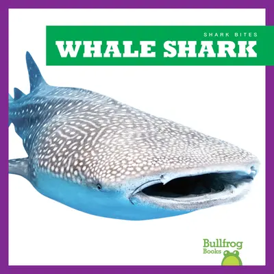 Rechinul balenă - Whale Shark