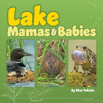Mame și bebeluși de lac - Lake Mamas & Babies