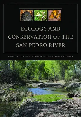 Ecologia și conservarea râului San Pedro - Ecology and Conservation of the San Pedro River