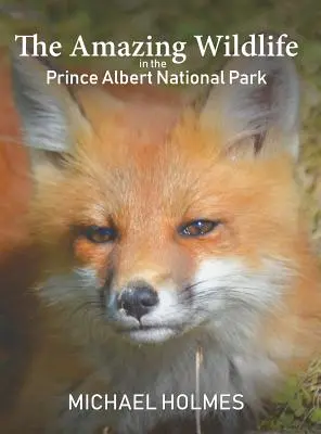 Uimitoarea viață sălbatică din Parcul Național Prince Albert - The Amazing Wildlife in the Prince Albert National Park